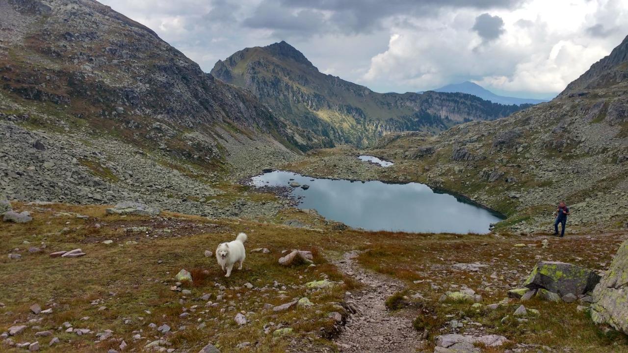 Hotel Maso Valfloriana Zewnętrze zdjęcie